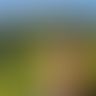 Candauxx, Homme, 27 ans, Dinant (2)